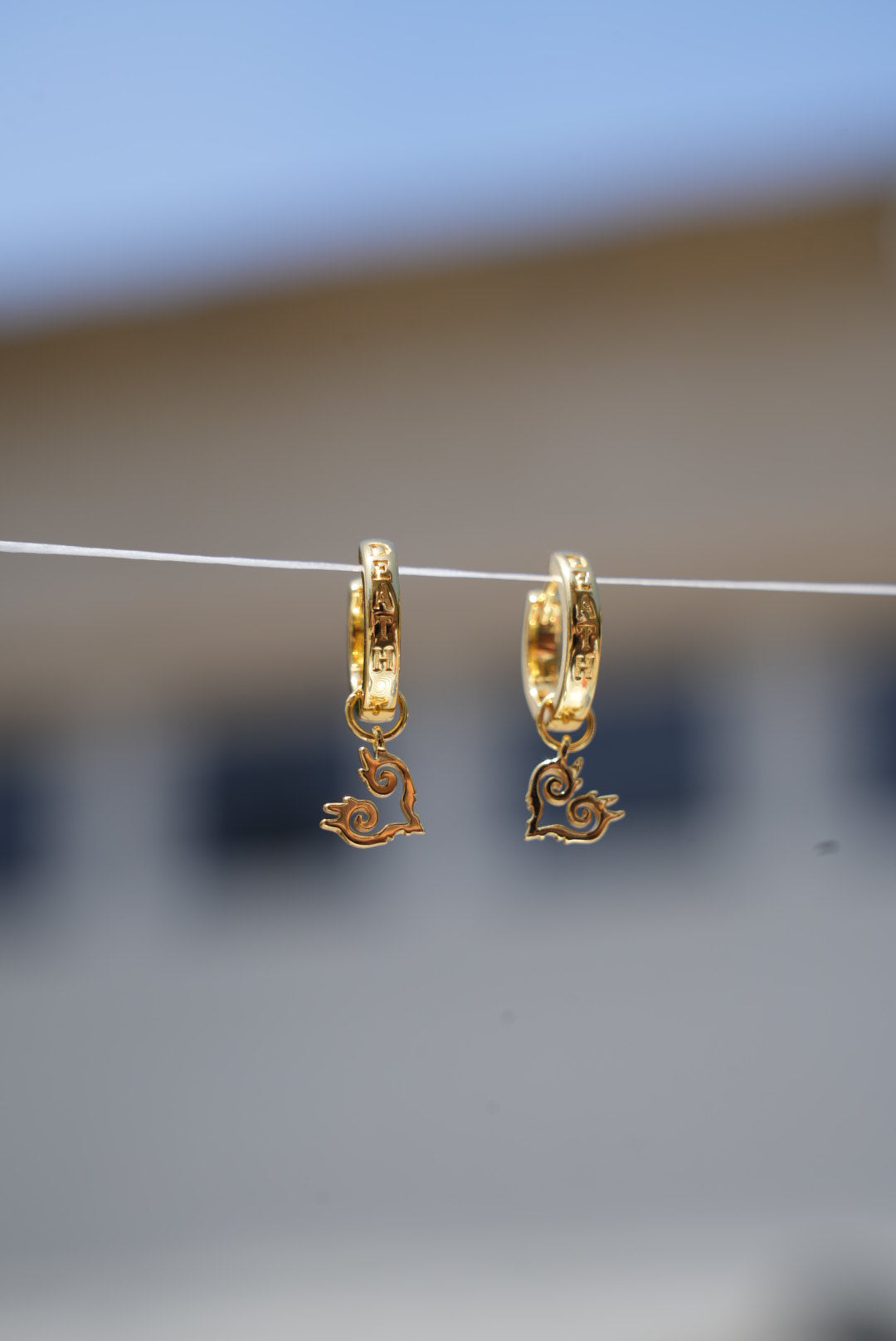 Heart Pirate Earrings